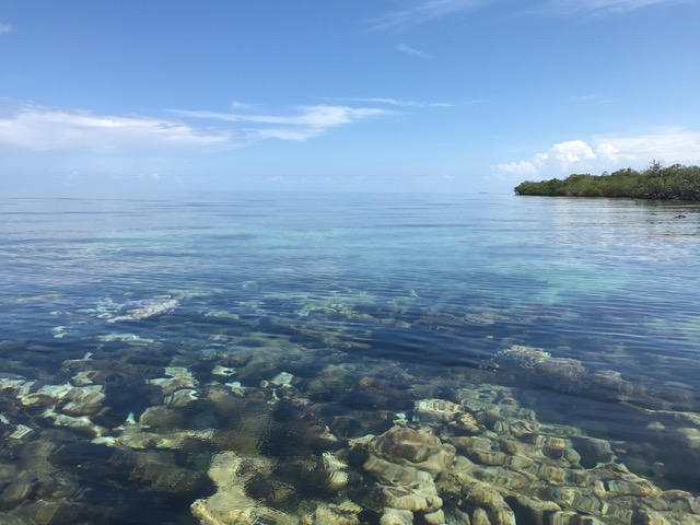 Island Off Coast of Placencia, Belize